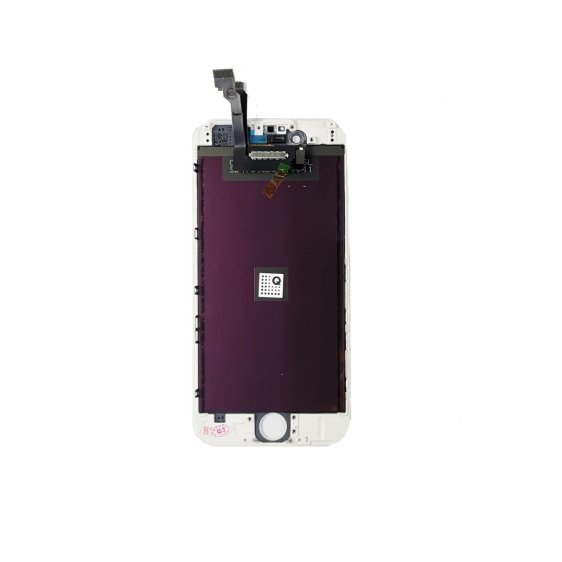 APIPH60038